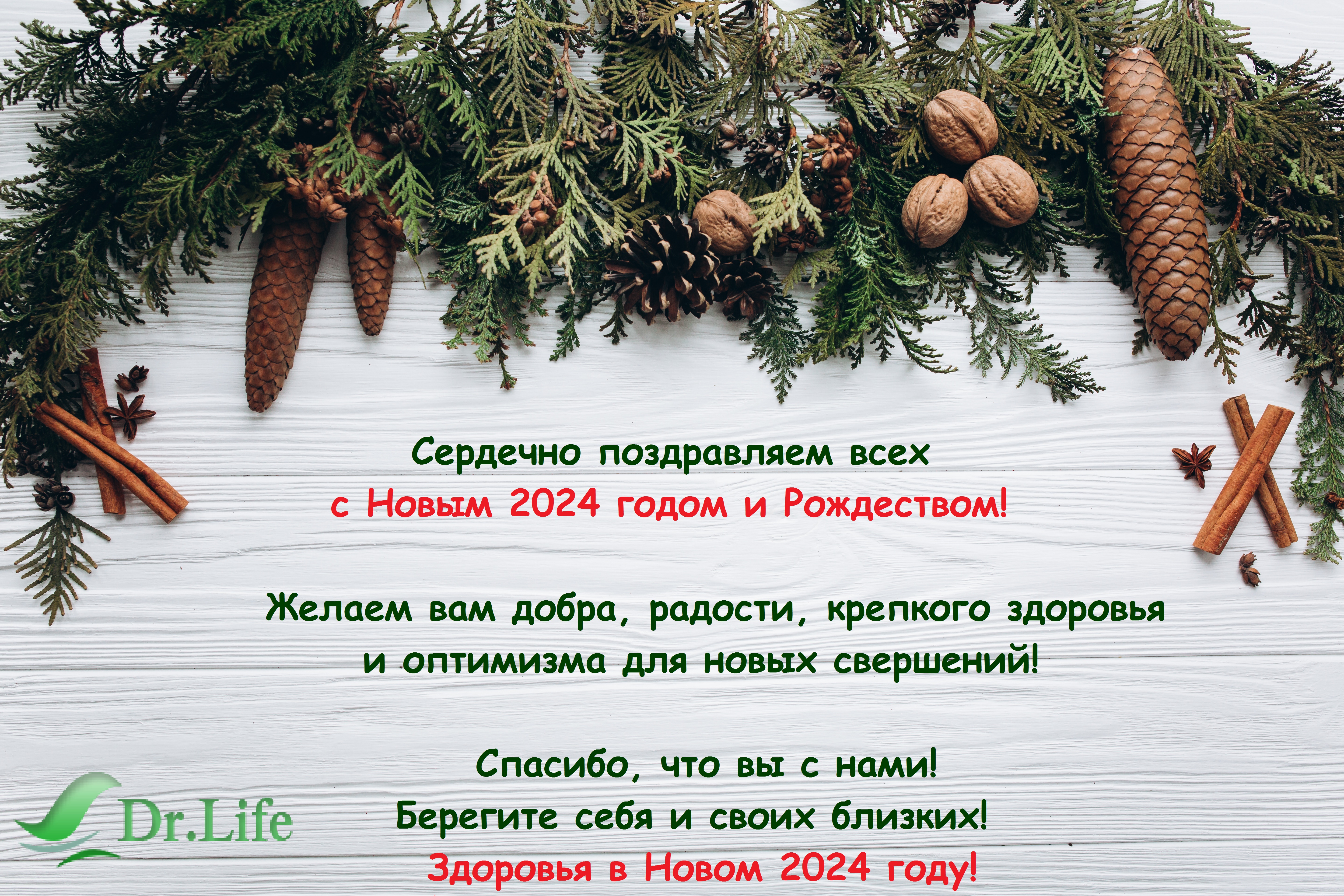 ukrasheniia-novyi-god-rozhdestvo-christmas-new-year-decor-45